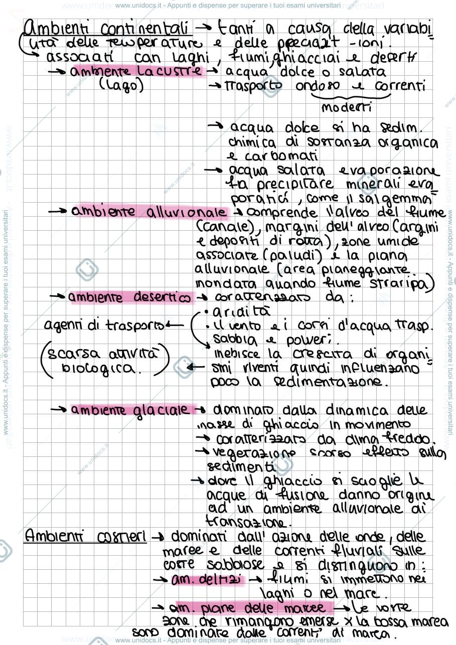 Anteprima pagina 1 — Rocce sedimentarie 