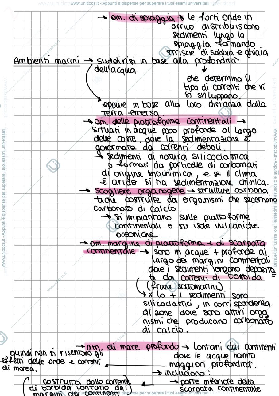 Anteprima pagina 2 — Rocce sedimentarie 