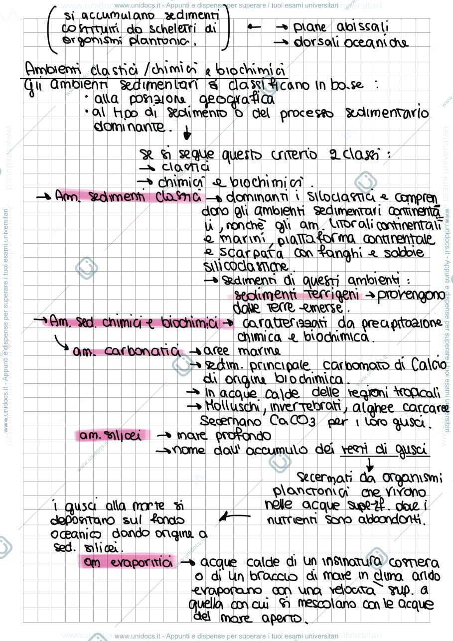 Anteprima pagina 3 — Rocce sedimentarie 