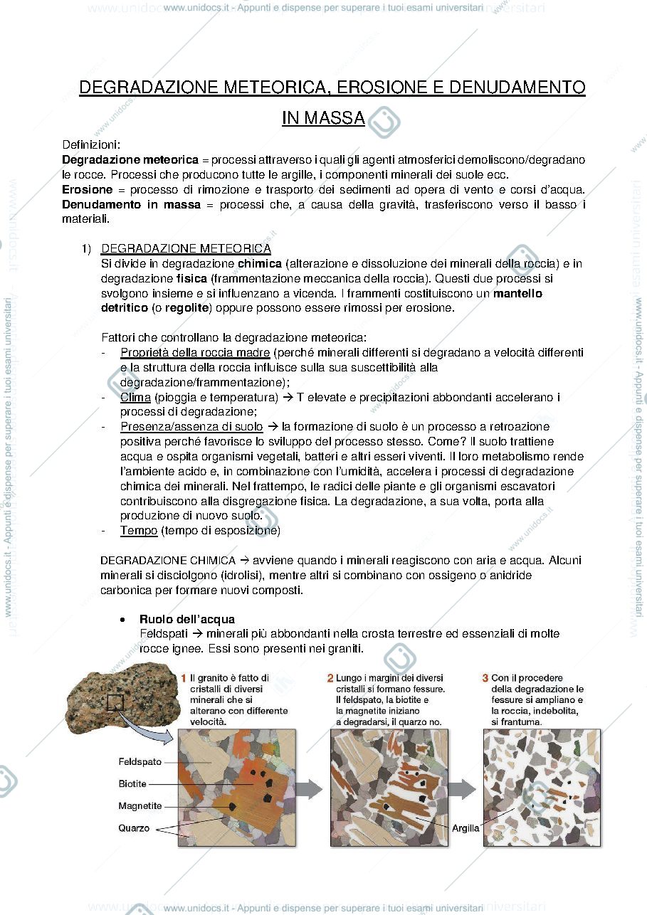 Anteprima pagina 1 — Riassunti Silvestri
