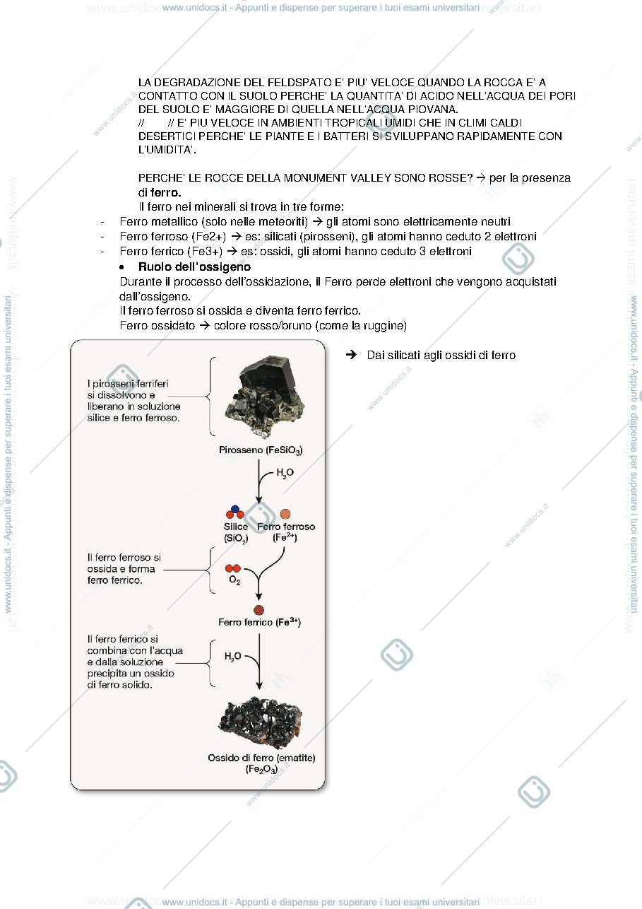Anteprima pagina 3 — Riassunti Silvestri