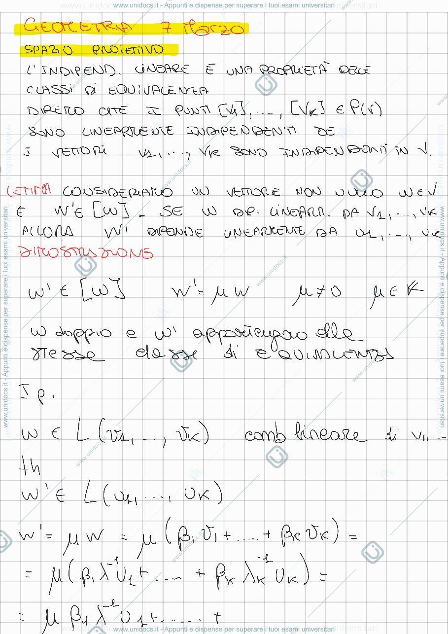Anteprima pagina 1 — Geo2 sp proiettivo