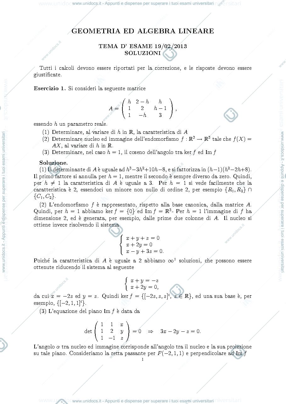 Anteprima pagina 1 — Testo e soluzione del compito del 10 febbraio 2013 esame prof: Alessandra Cherubini