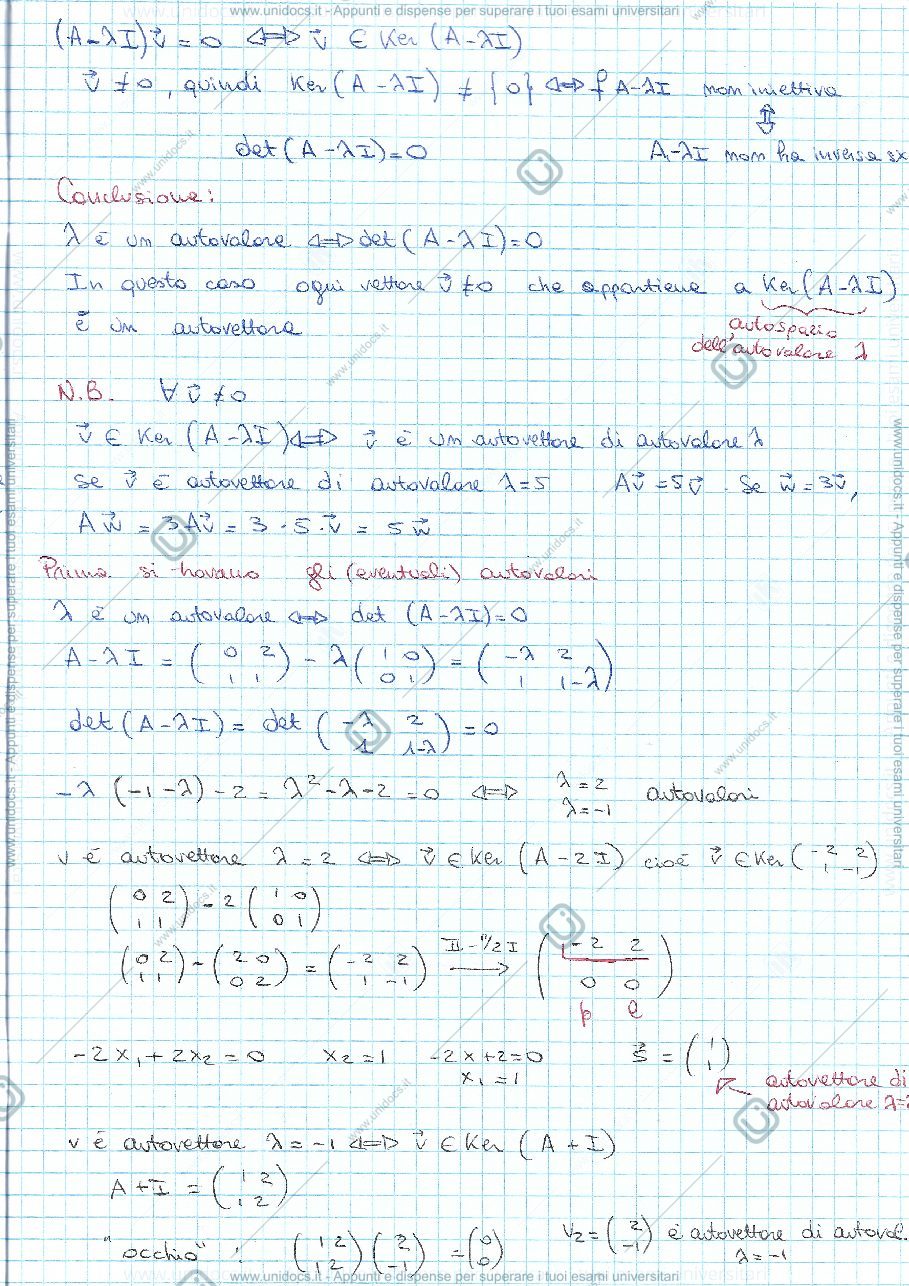 Anteprima pagina 2 — autovettori