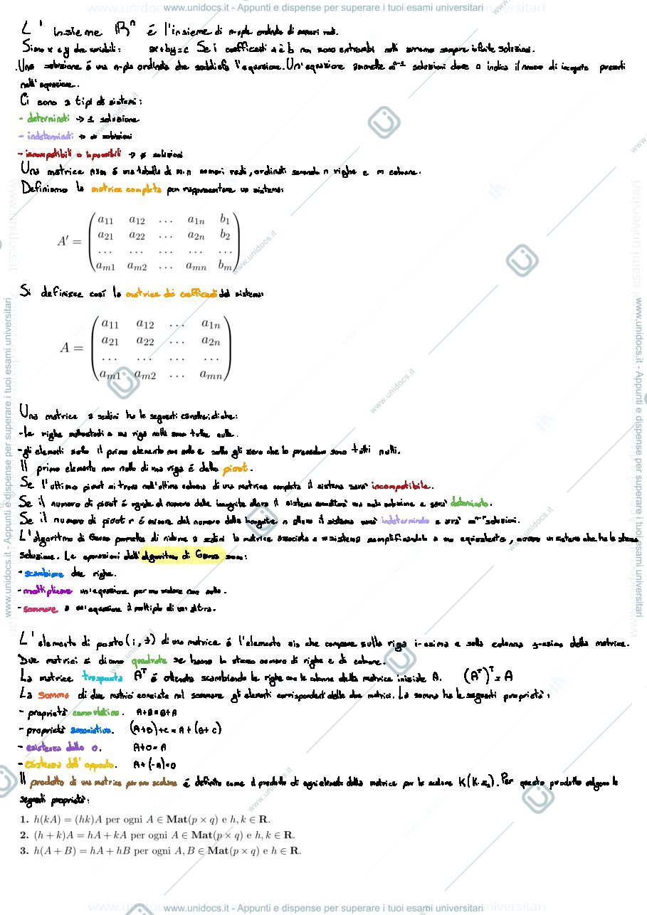 Anteprima pagina 1 — Riassunto Savo