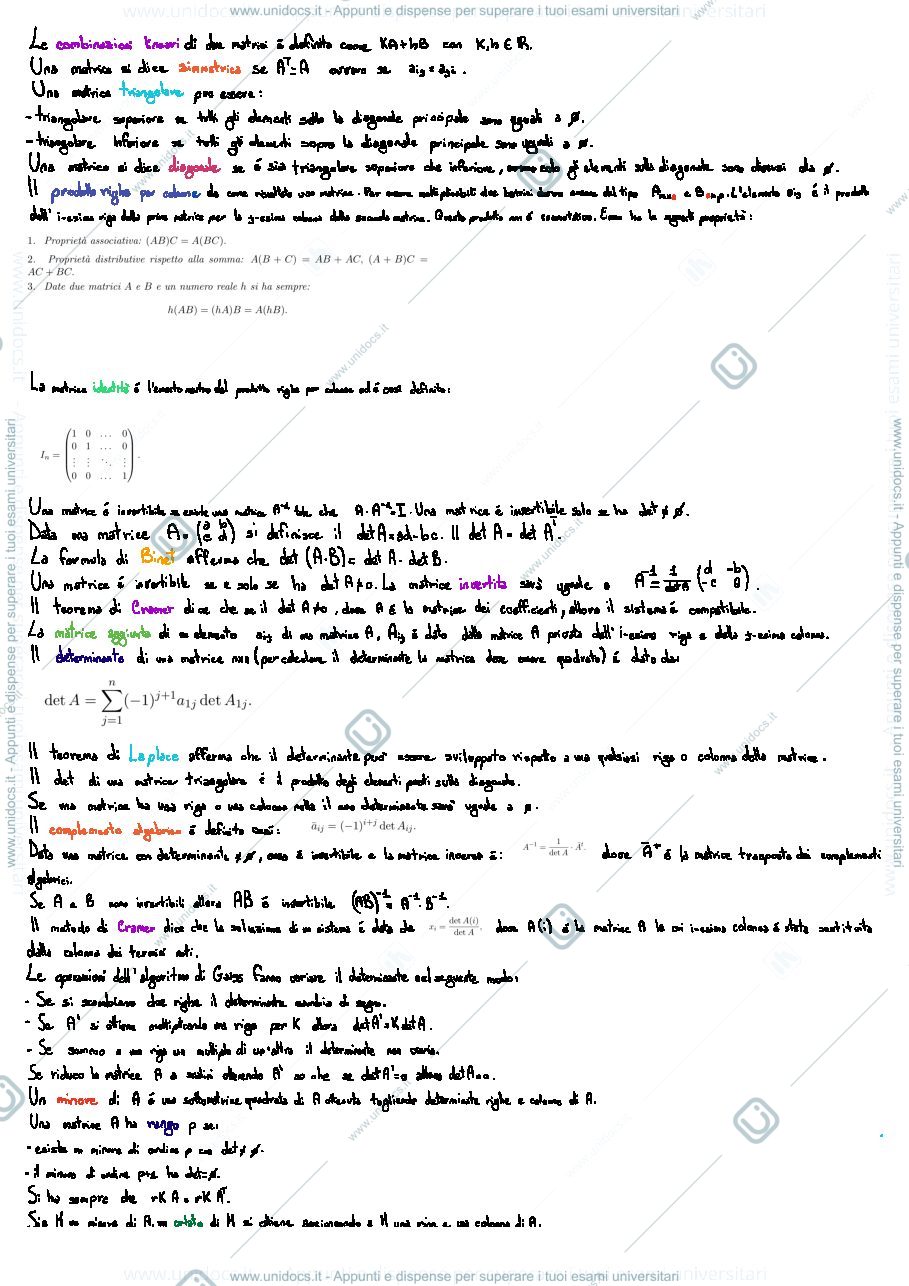 Anteprima pagina 2 — Riassunto Savo