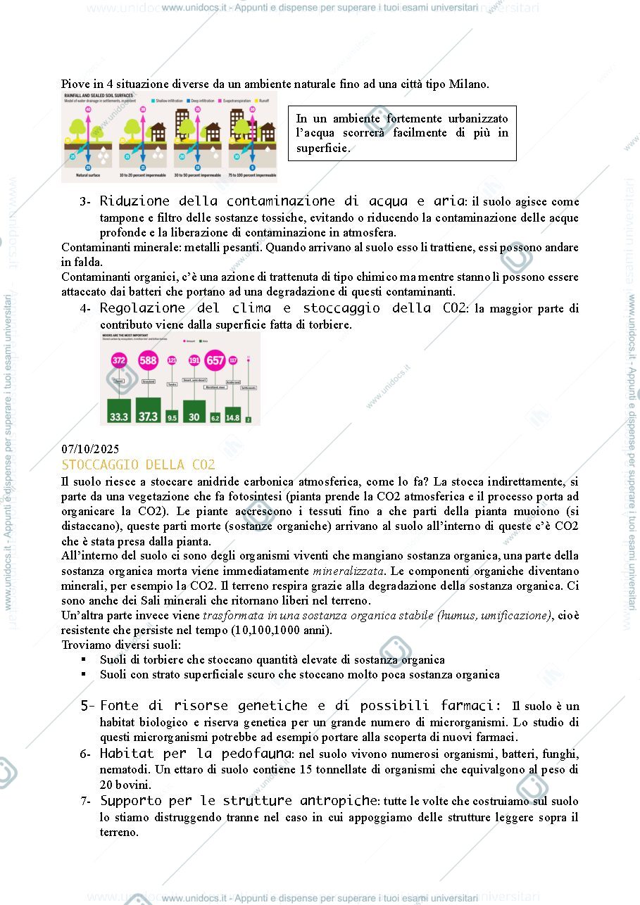Anteprima pagina 2 — geopedologia