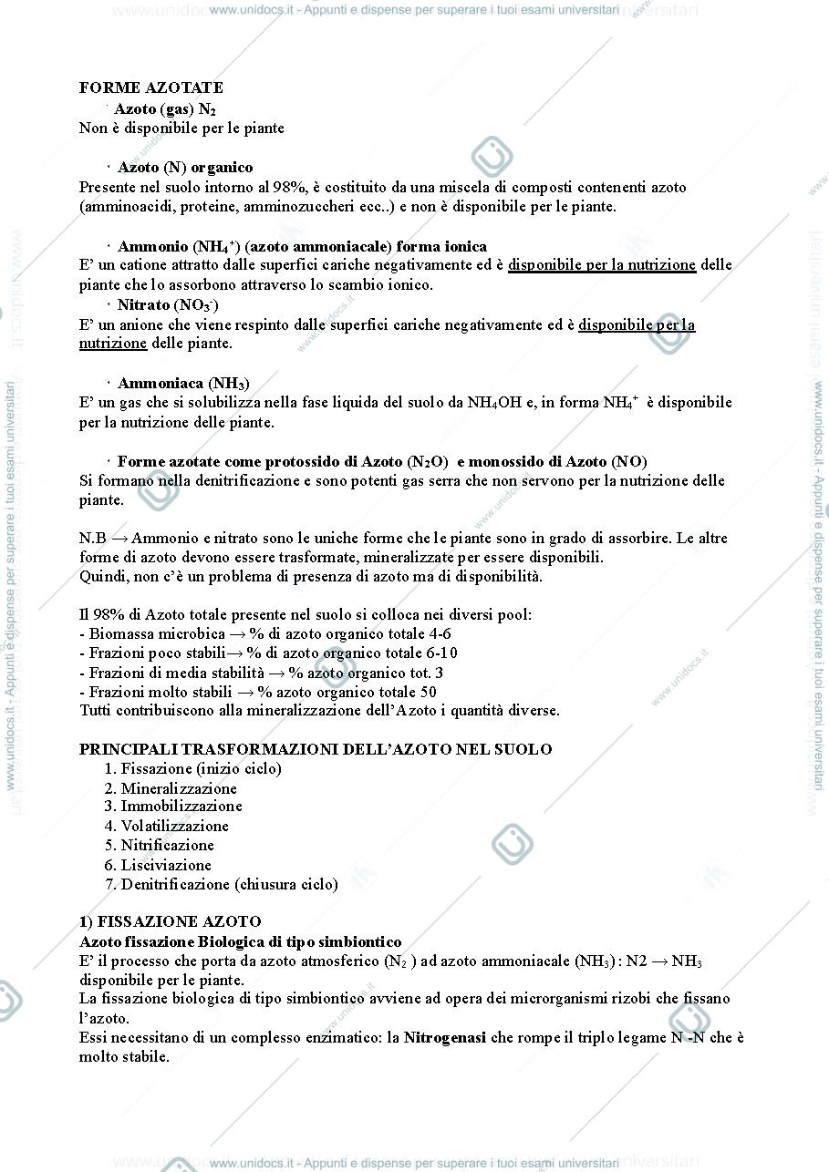 Anteprima pagina 2 — Ciclo dell’azoto