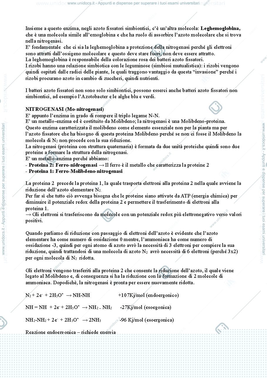 Anteprima pagina 3 — Ciclo dell’azoto
