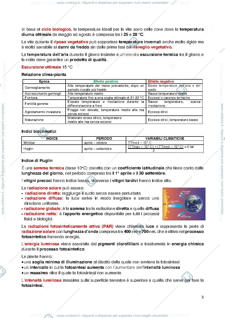 Anteprima pagina 3 — Gestione agronomica del vigneto. Sintesi