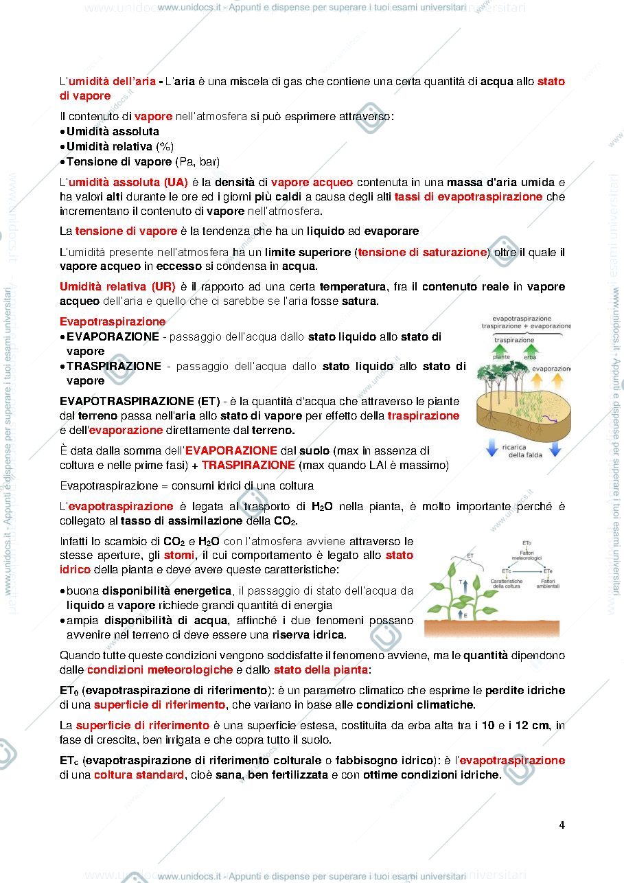 Anteprima pagina 4 — Gestione agronomica del vigneto. Sintesi