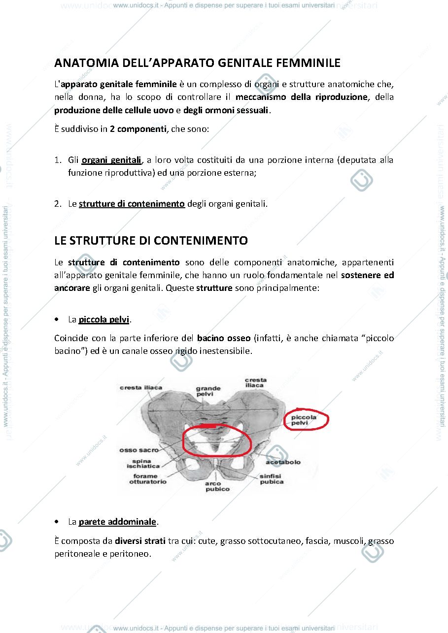 Anteprima pagina 1 — Appunti delle lezioni di Ginecologia ed Ostetricia