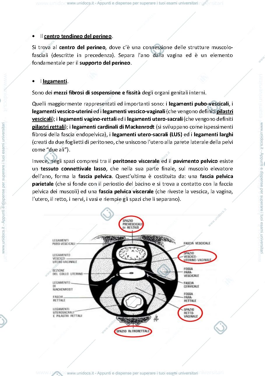 Anteprima pagina 3 — Appunti delle lezioni di Ginecologia ed Ostetricia