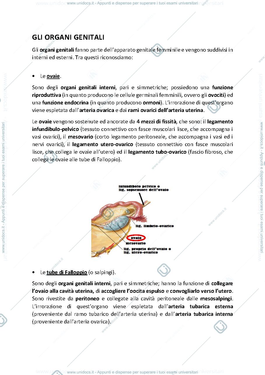 Anteprima pagina 4 — Appunti delle lezioni di Ginecologia ed Ostetricia
