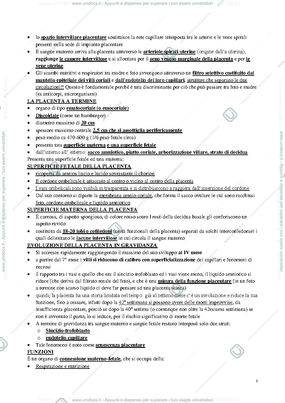 Anteprima pagina 3 — OSTETRICIA