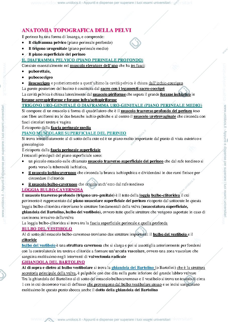 Anteprima pagina 1 — GINECOLOGIA GADDUCCI