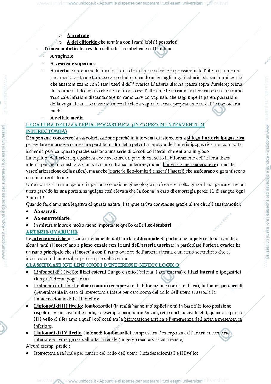 Anteprima pagina 3 — GINECOLOGIA GADDUCCI