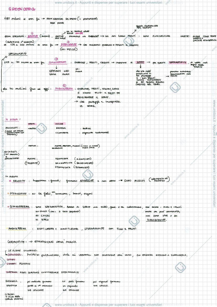 Anteprima pagina 1 — green