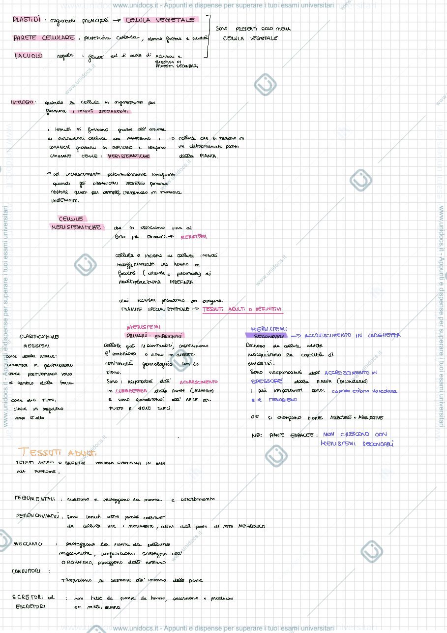 Anteprima pagina 2 — green