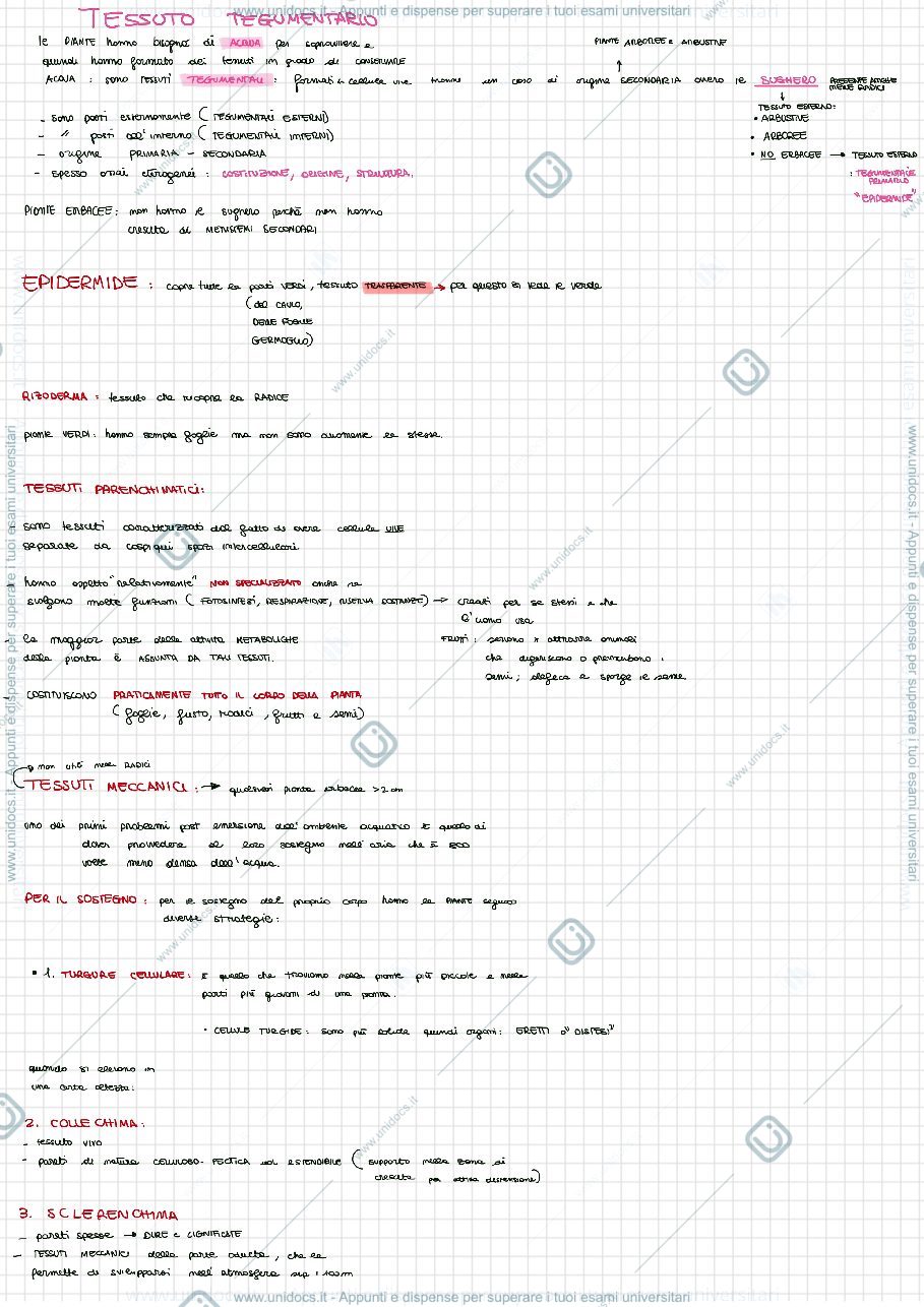 Anteprima pagina 3 — green