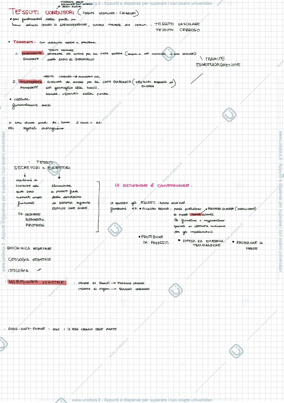 Anteprima pagina 4 — green