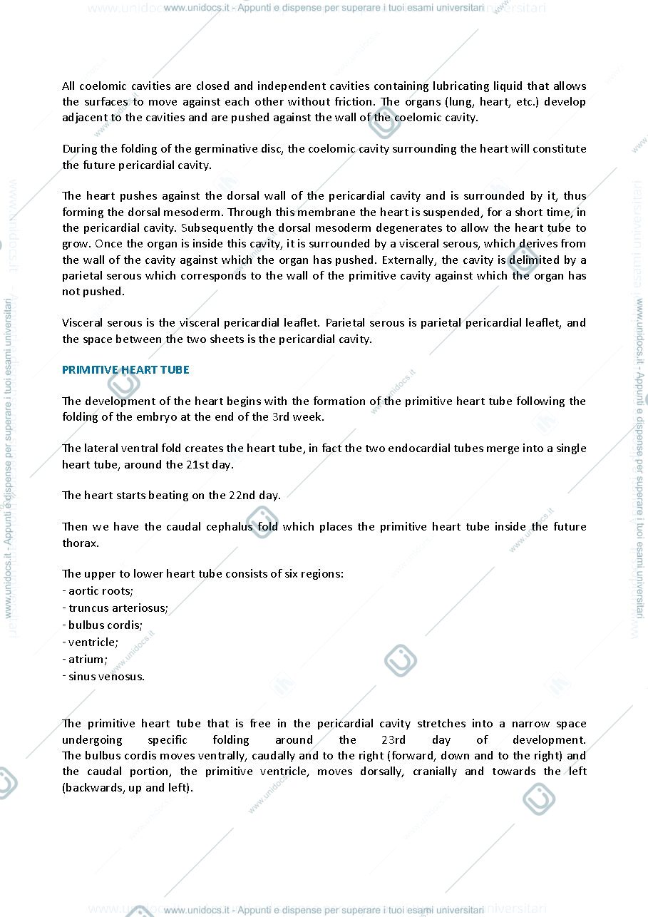 Anteprima pagina 2 — Embriology - CARDIOVASCULAR SYSTEM DEVELOPMENT 