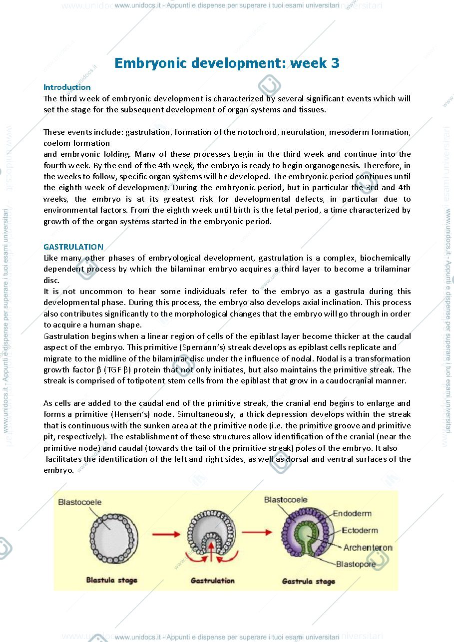 Anteprima pagina 1 — Embriology - embryonic development: week 3