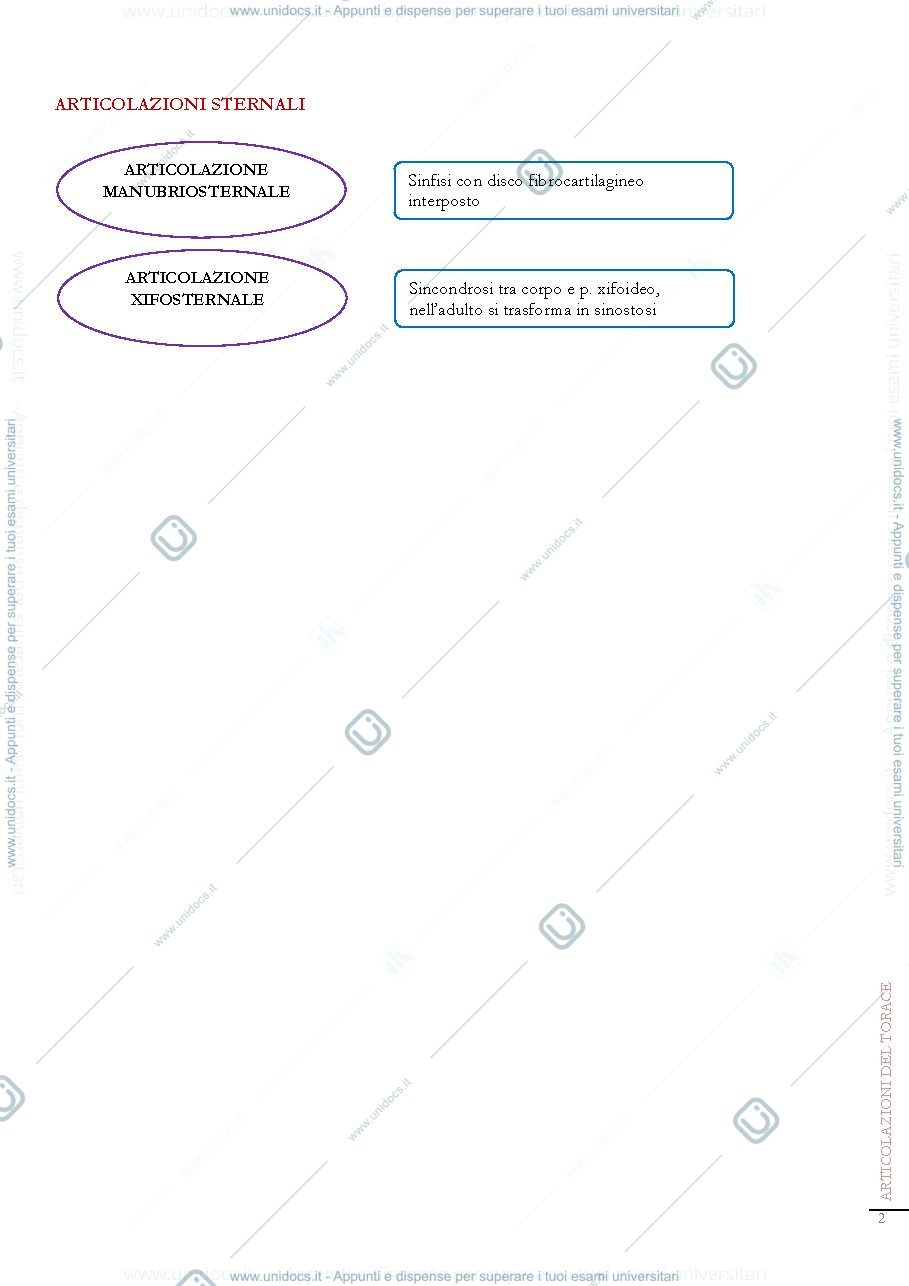 Anteprima pagina 2 — Anatomia I schemi apparato locomotore 