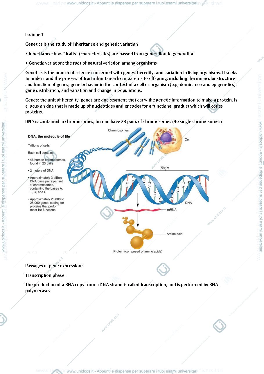 Anteprima pagina 1 — Human Genetics