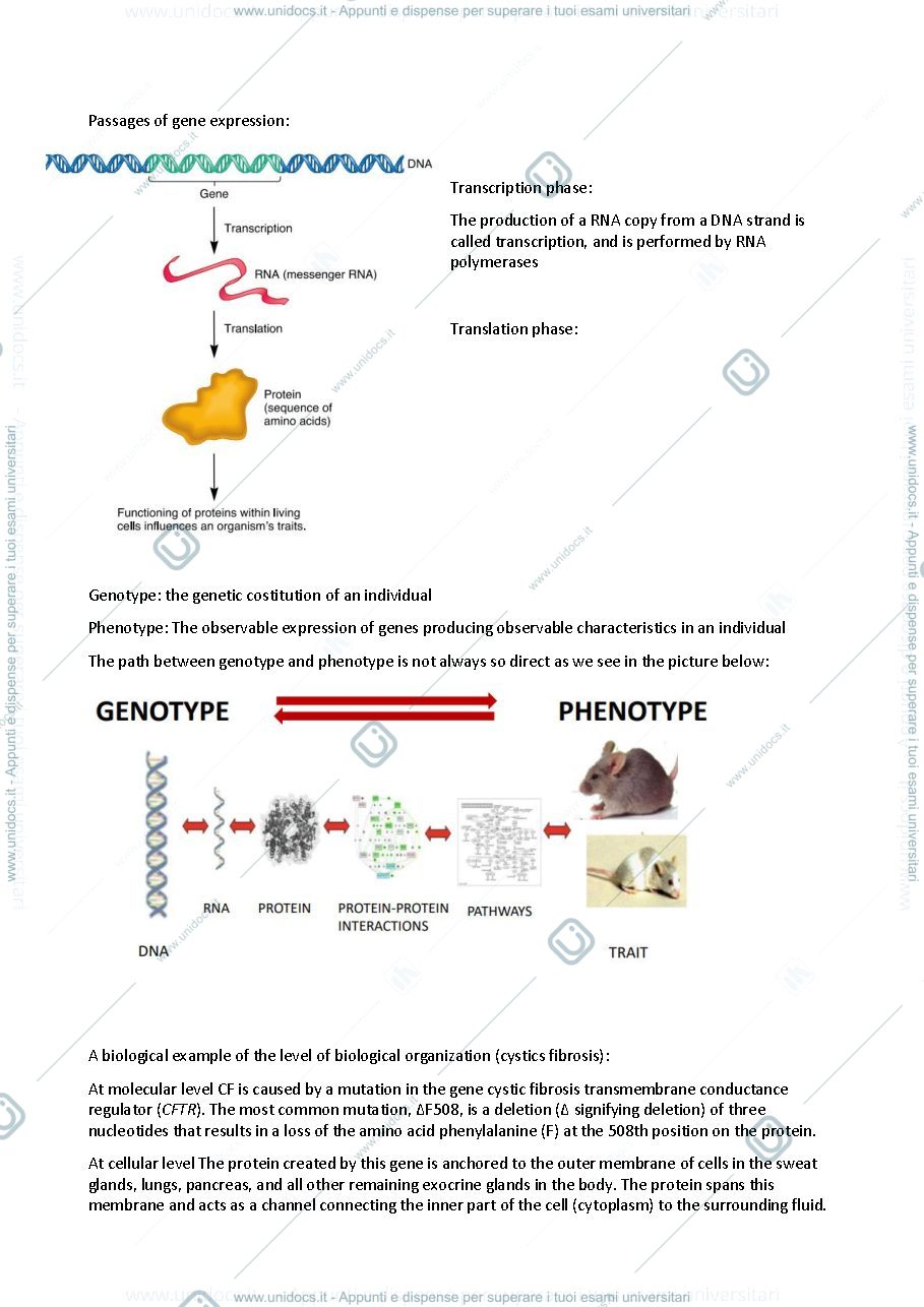 Anteprima pagina 2 — Human Genetics