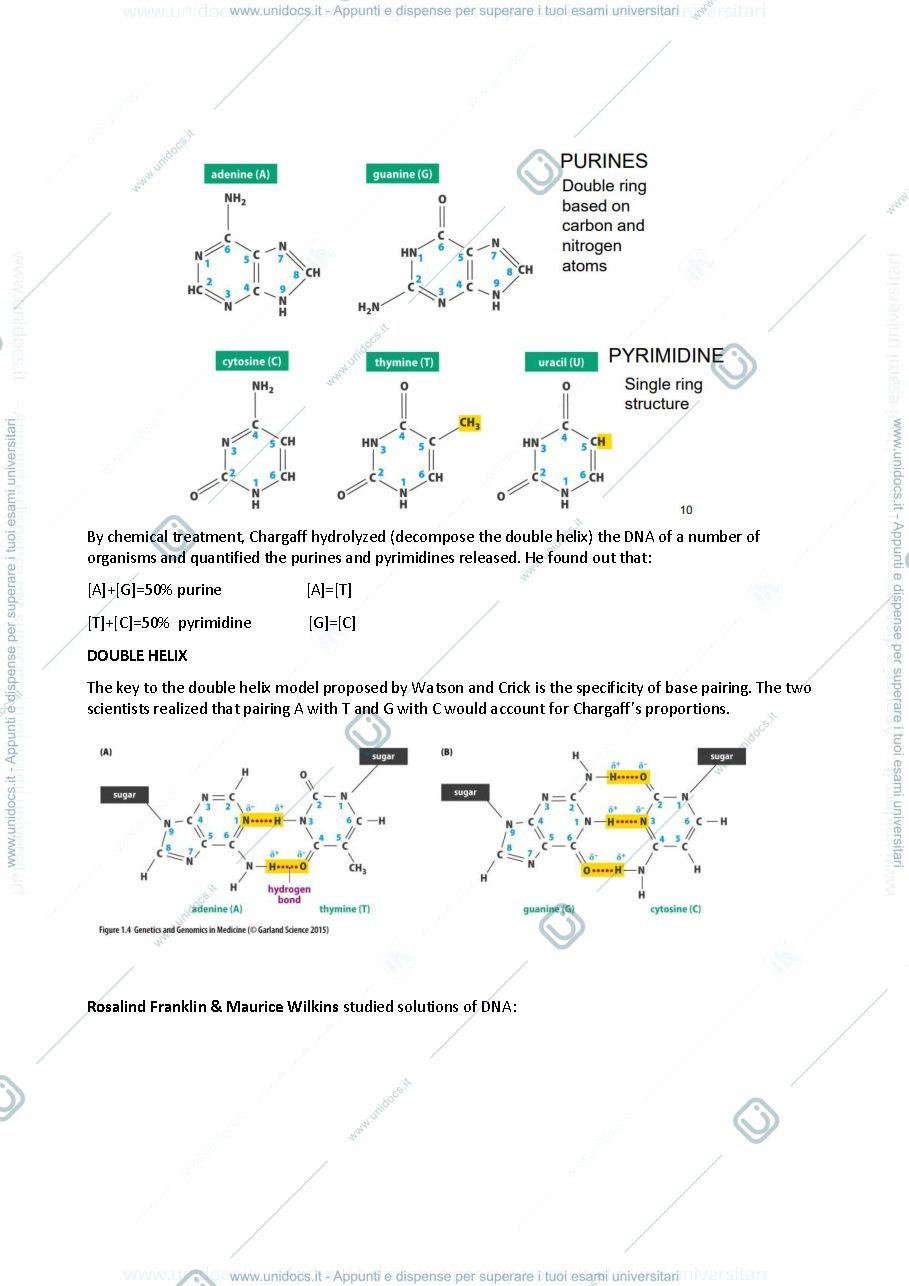 Anteprima pagina 4 — Human Genetics