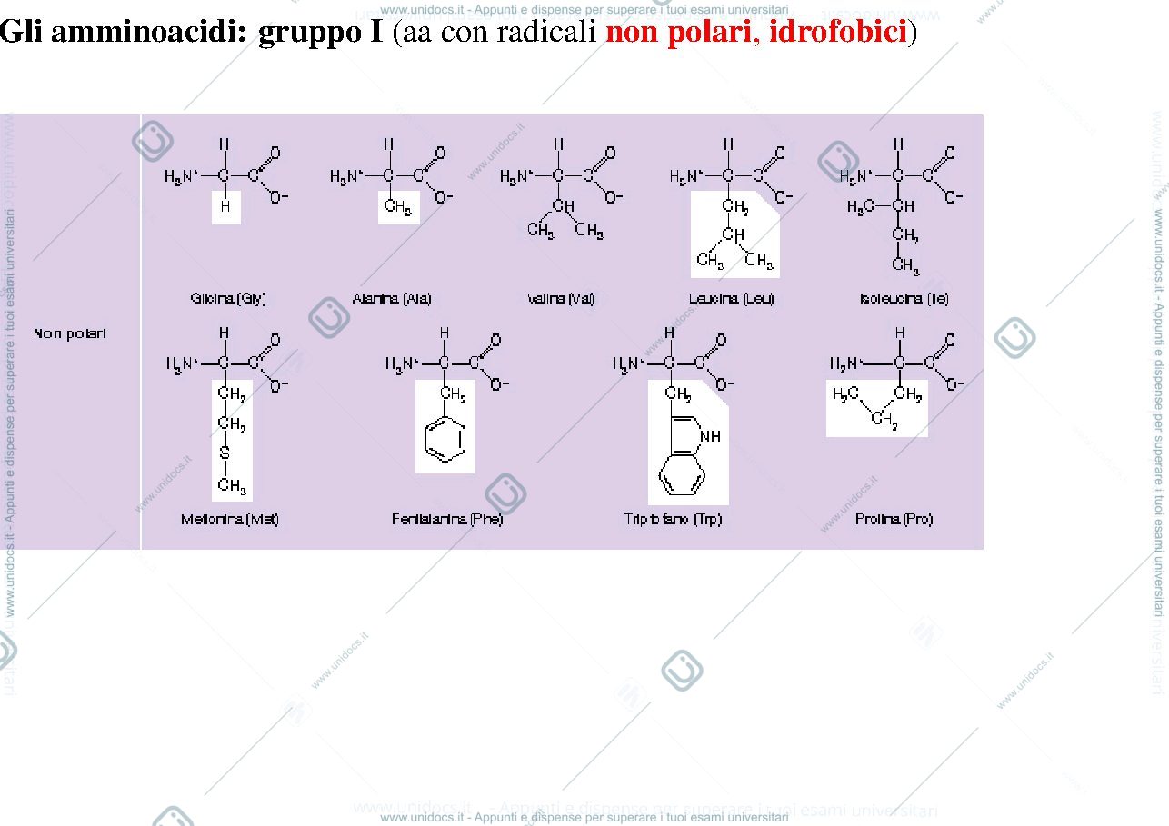Anteprima pagina 2 — biologia