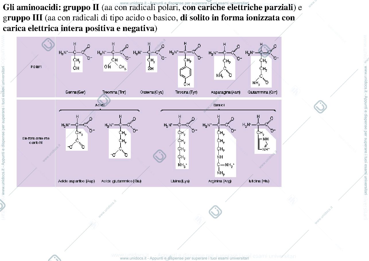 Anteprima pagina 3 — biologia