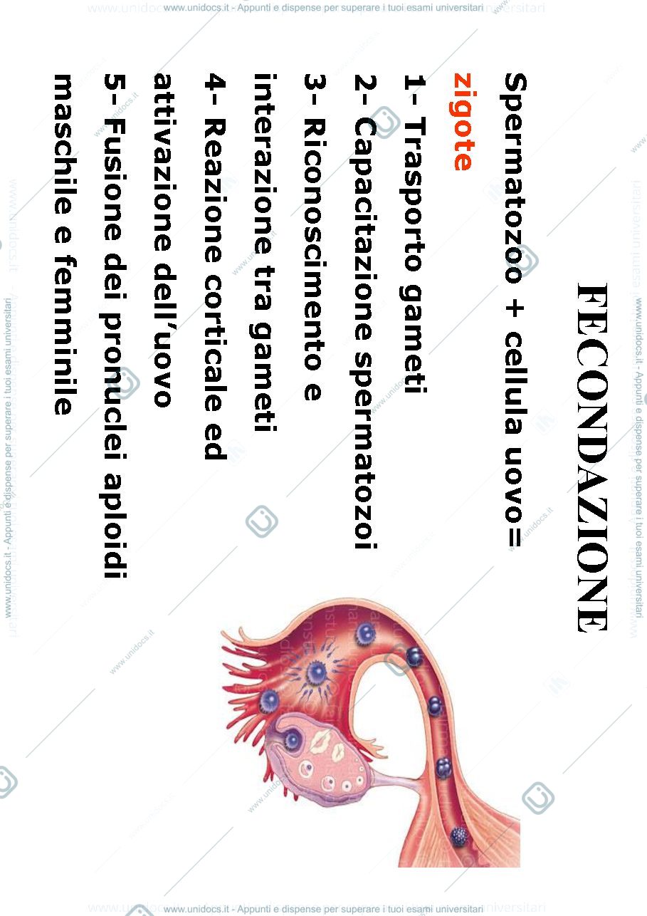 Anteprima pagina 2 — biologia