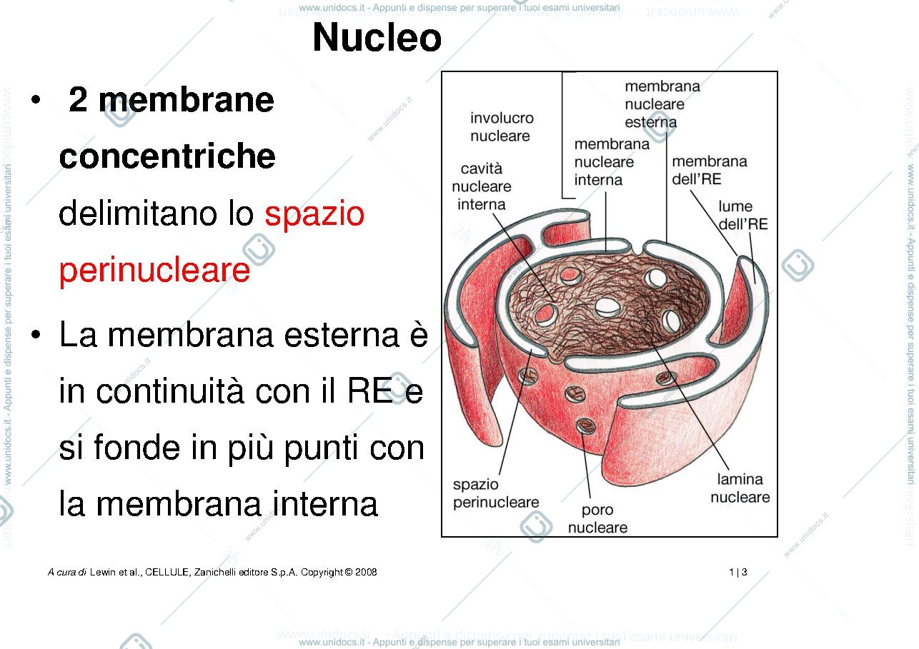 Anteprima pagina 3 — biologia 