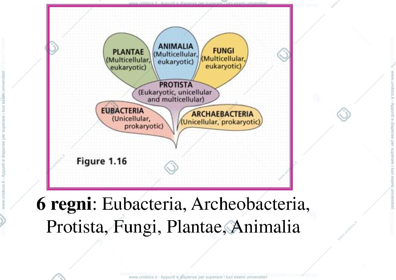 Anteprima pagina 3 — biologia
