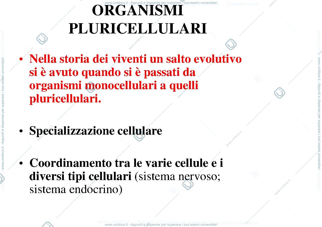 Anteprima pagina 4 — biologia