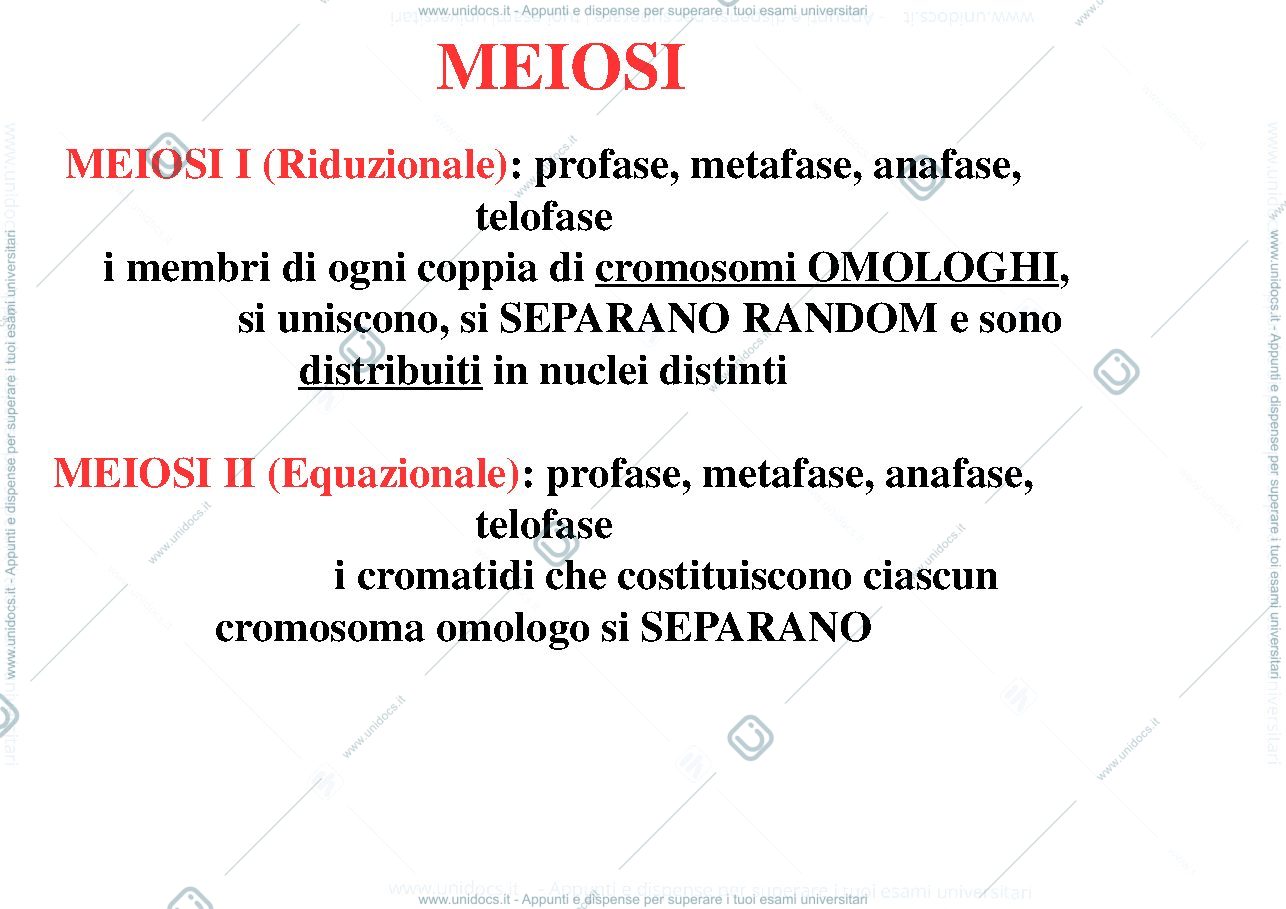 Anteprima pagina 1 — biologia