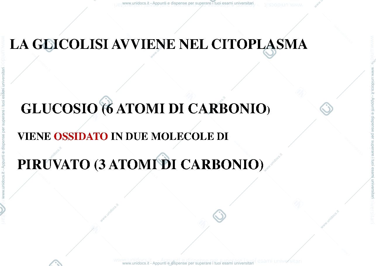 Anteprima pagina 3 — biologia 