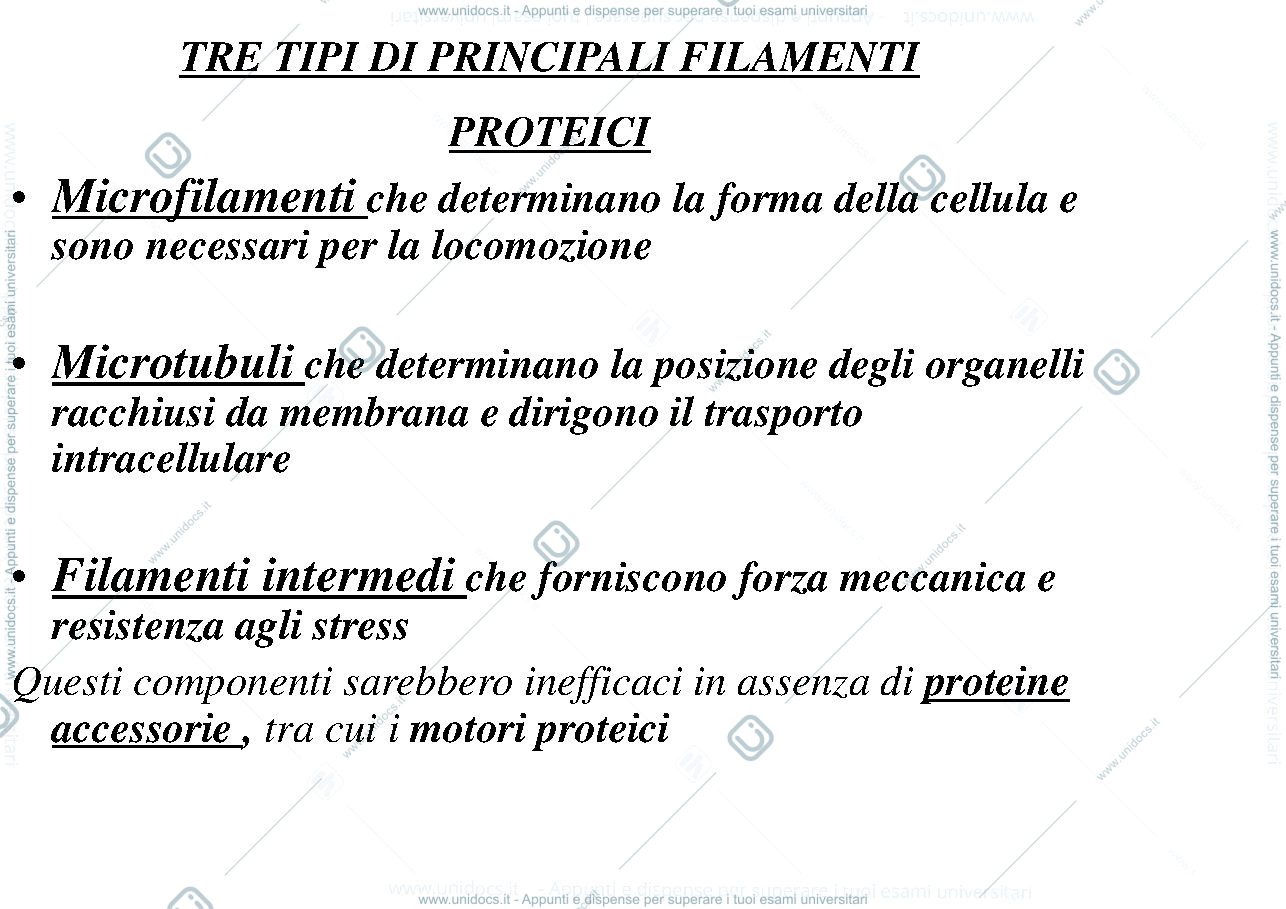 Anteprima pagina 2 — biologia 