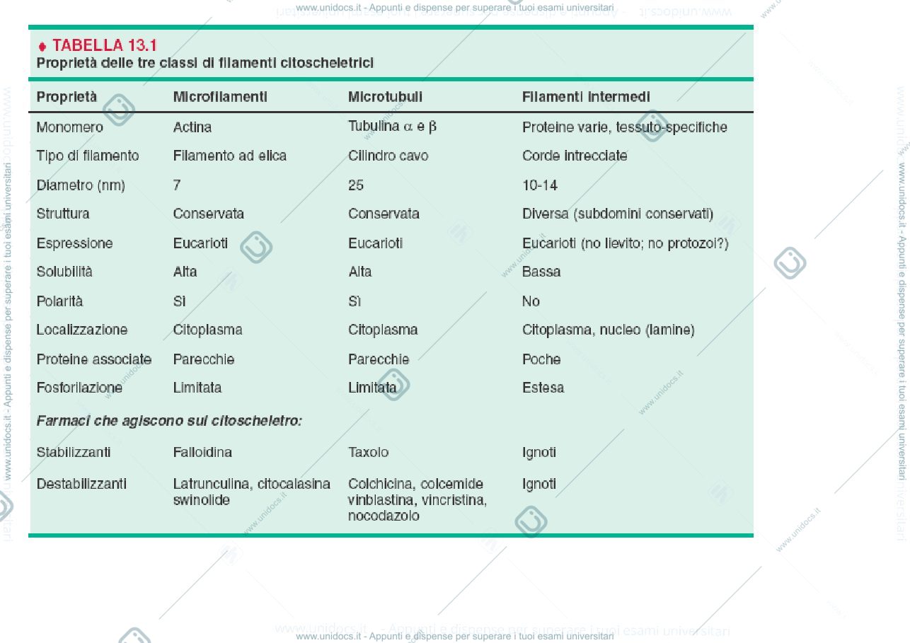Anteprima pagina 3 — biologia 