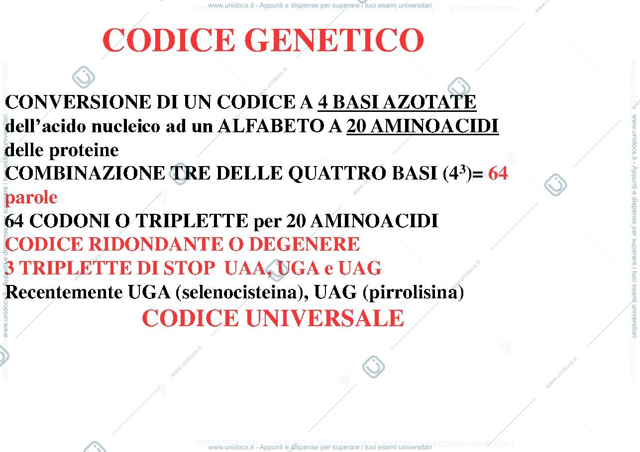 Anteprima pagina 1 — biologia 