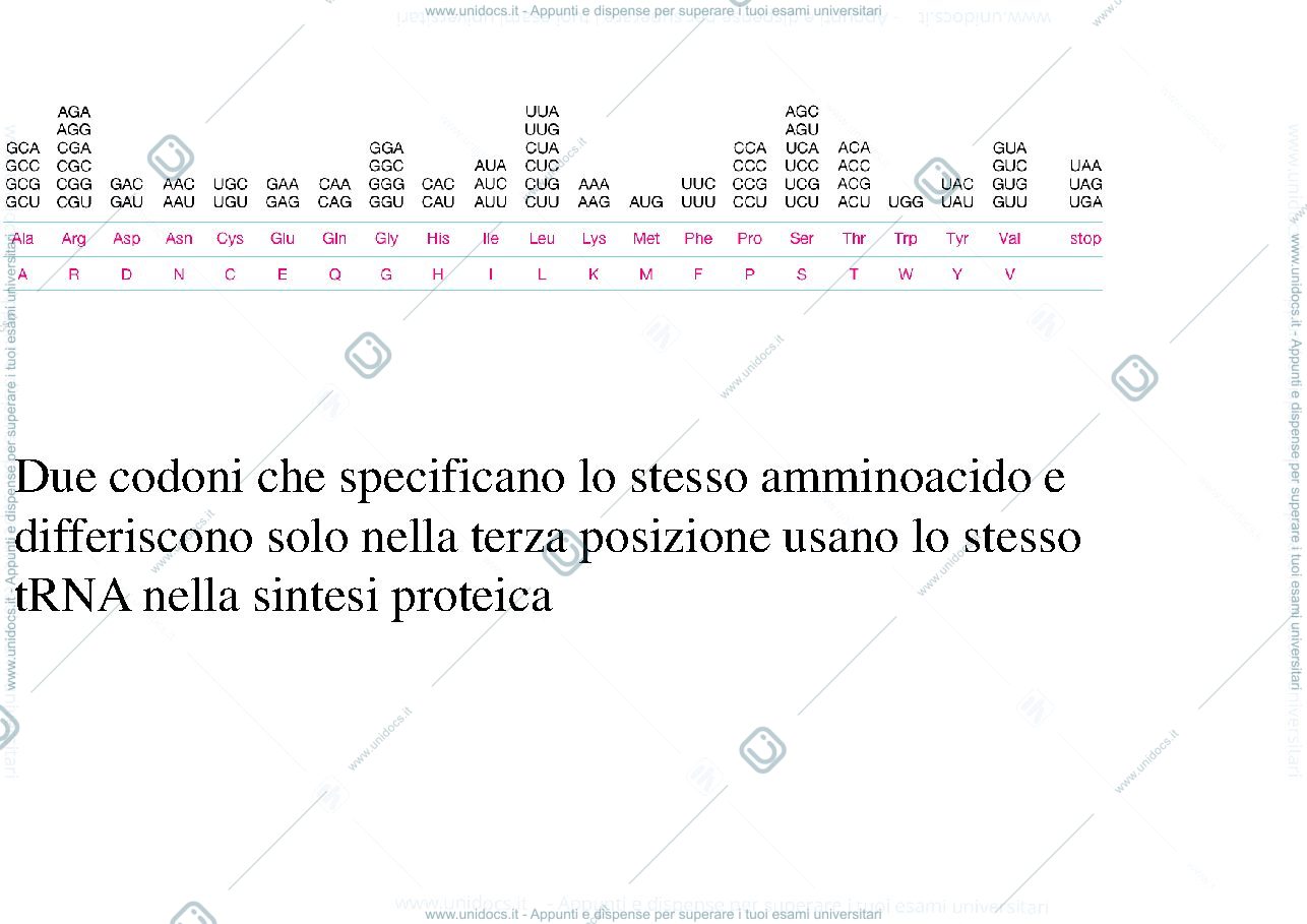 Anteprima pagina 2 — biologia 