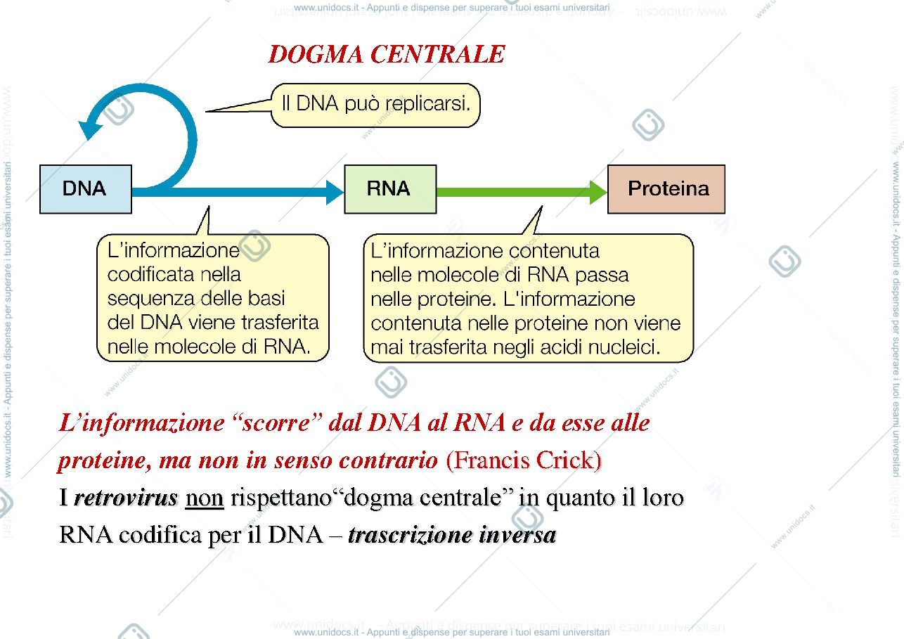 Anteprima pagina 1 — biologia 