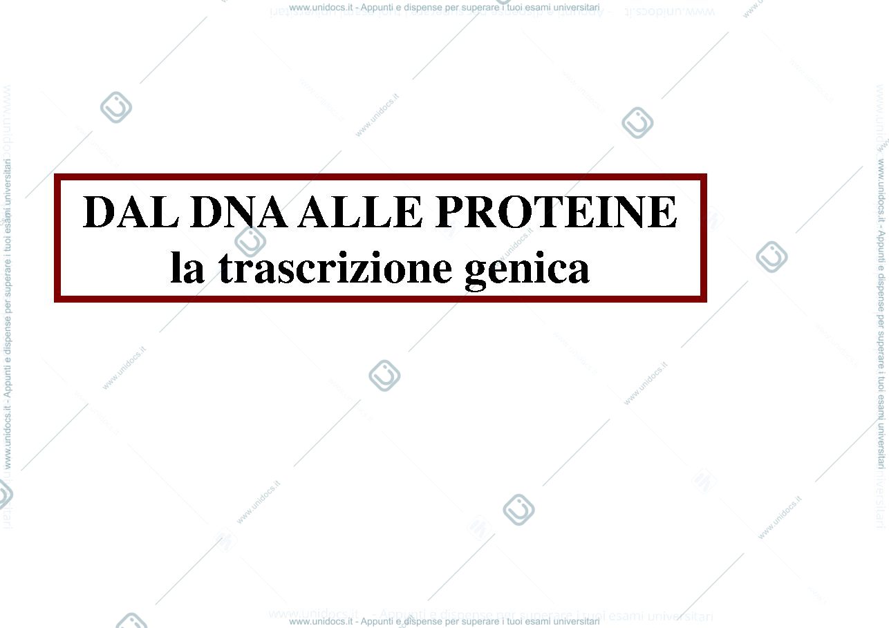 Anteprima pagina 3 — biologia 