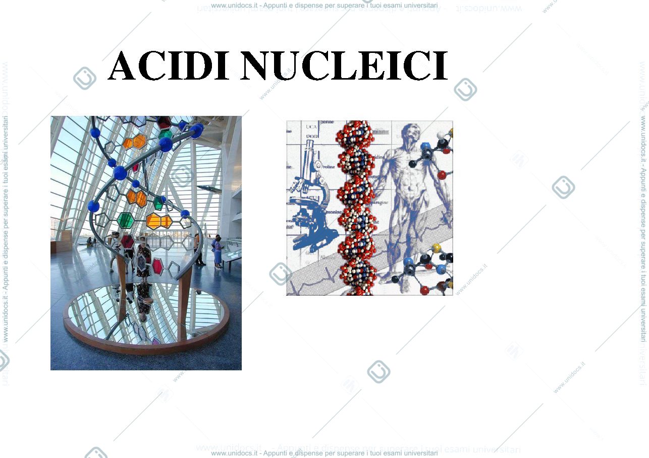 Anteprima pagina 1 — biologia 