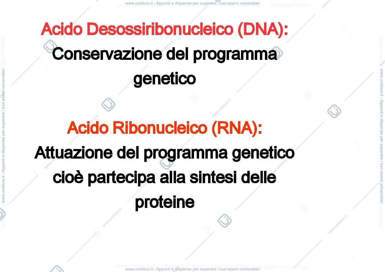 Anteprima pagina 2 — biologia 