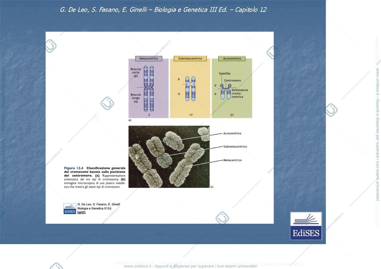 Anteprima pagina 1 — biologia