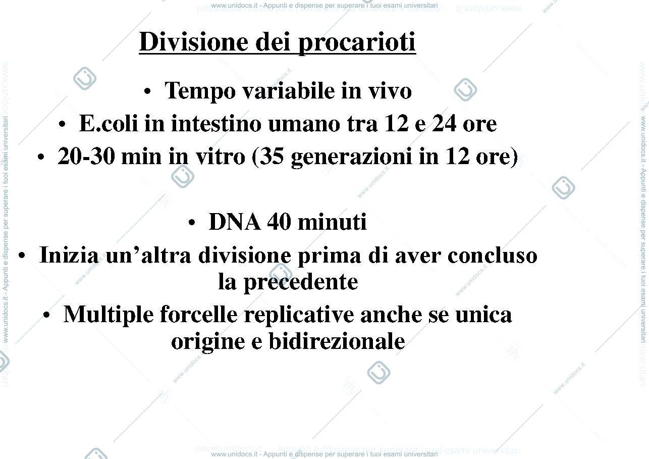 Anteprima pagina 2 — biologia 
