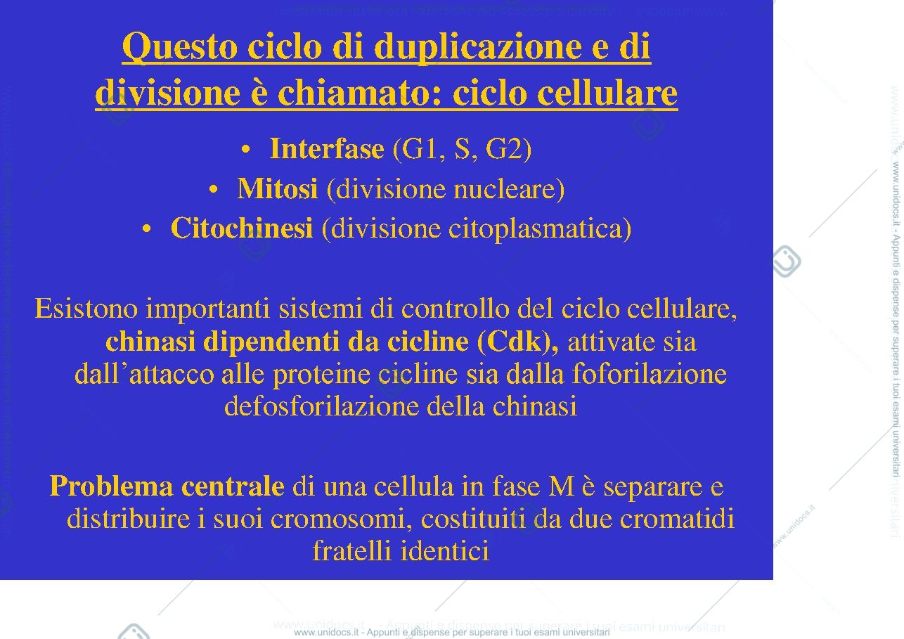 Anteprima pagina 3 — biologia 